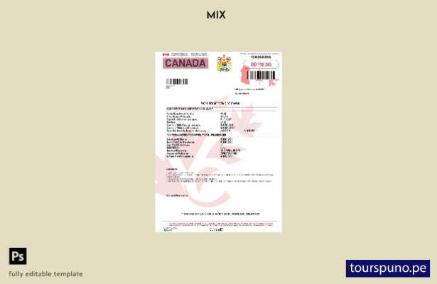 Plantilla de presente de permiso de trabajo de Canadá lista para imprimir